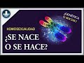 ¿Se APRENDE la HOMOSEXUALIDAD, o está en los GENES? | Orientación Sexual, ¿SOCIAL o BIOLÓGICA?