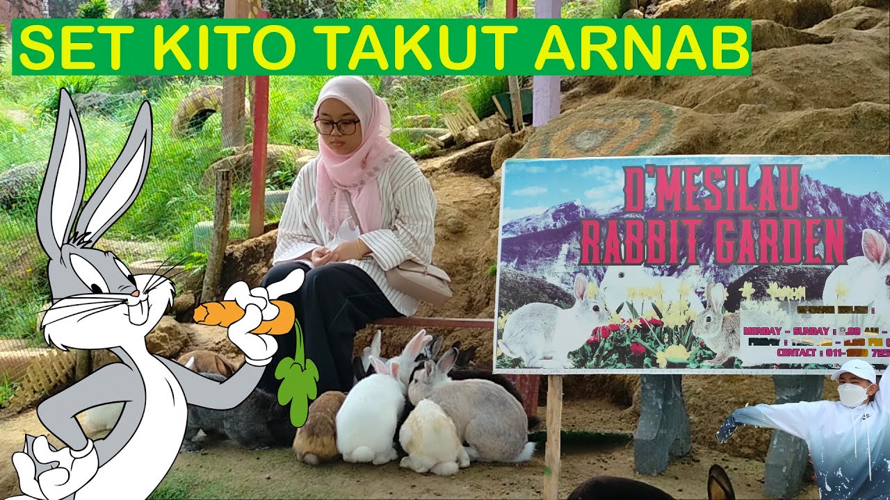 D'Mesilau Rabbit Garden Kundasang Sabah Endemik 2022 YouTube