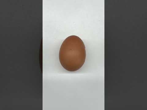 Can you guess which egg is 3D printed?