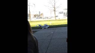 Feeding seagulls