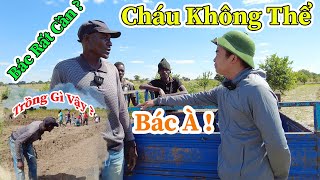 Công Giáp || Cháu Không Thể Bác à ? Bác Chủ Vườn Xoài Đến Tại Nông Trại Với Mong Muốn Gì ? Rất Gấp ?