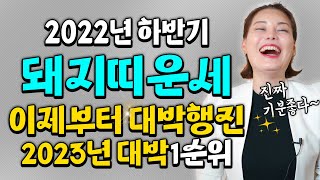 ✨2022년 하반기 돼지띠 대박운세 🌸이제부터 돼지띠 전성시대 2023년 대박 1순위다~  유명한서울점집 [경희궁 지니보살]
