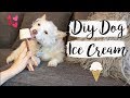 DIY Dog Ice Cream | Easy Pet DIYs