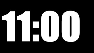 11 MINUTE TIMER | LOUD ALARM  ⏰