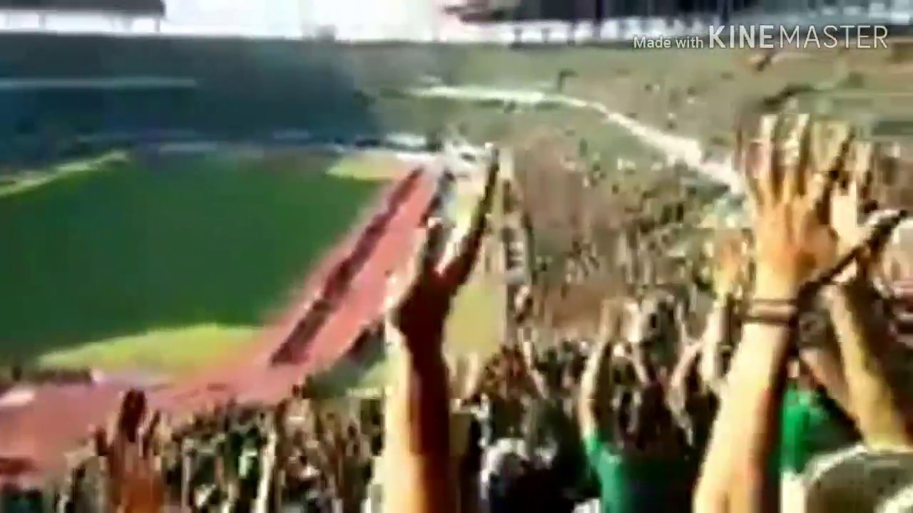 Chant persebaya\\ salam satu nyali - YouTube