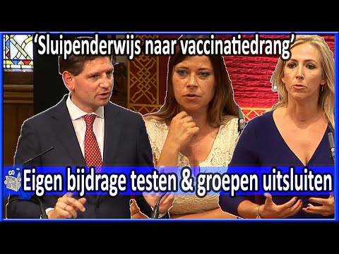 Lilian Marijnissen v Paternotte 'eigen bijdrage voor toegangstest' Westerveld - Debat Tweede Kamer