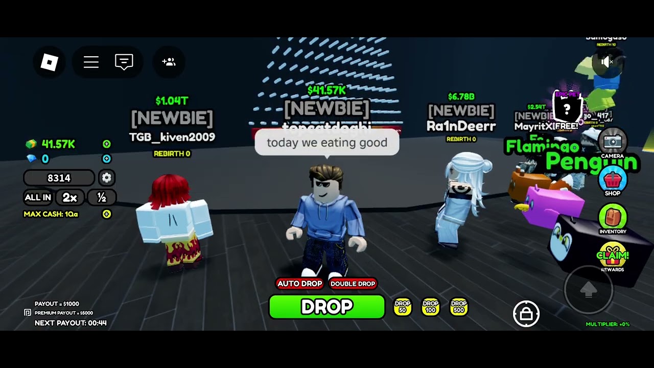 !Playing Plinko Rng!🐥 - YouTube