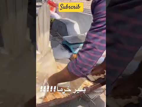 پنیر نخل یا به گویش محلی هرمزگان کورگپنیر نخل یا همان غاپ سوغات لذیذی است که از دل نخل بیرون می آی