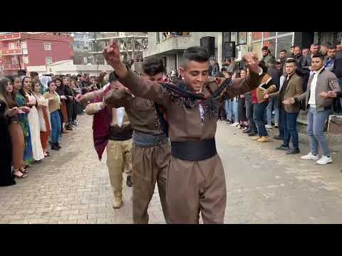 Görümlü köy düğünü kürt düğünleri yöresel kürt halayları Şırnak Cizre Silopi Hakkari ￼ düğünleri