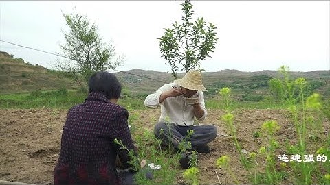 甘肅通渭罐罐面，祖傳民國時期的罐子吃面，香氣四溢幾代人的記憶 - 天天要聞