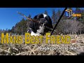 Vlog #6 - Mans Best Friend - Time to meet my best bud