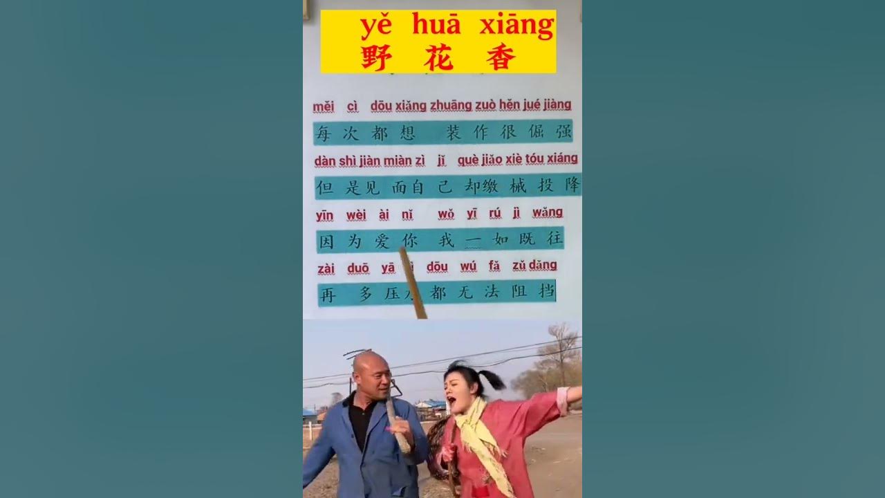 jiafei song lyrics ye hua xiang english translation by ArtGutierrez