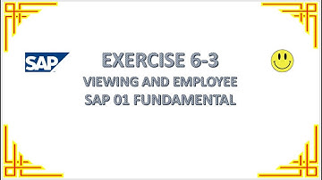 EXERCISE 6-3 VIEWING AND EMPLOYEE  - SAP 01 FUNDAMENTAL