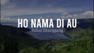 Julius Sitanggang - Ho Nama Di Au | Lagu Batak Sepanjang Masa