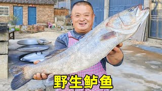950買1條12斤重鲈魚，鐵鍋炖大魚香氣四溢，15人圍桌壹桌吃過瘾