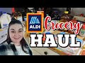 1-WEEK GROCERY HAUL &amp; MEAL PLAN | Aldi Haul