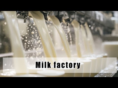 How to Choose the Right Milk?