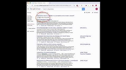 Forward Citation Mining
