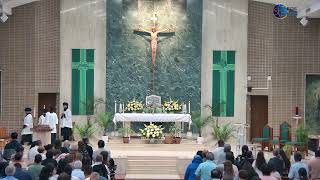 Eleventh Sunday in Ordinary Time | XI Domingo Ordinario