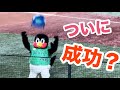 つば九郎🐧空中くるりんぱ 〜球場がどよめく..2024/08/25