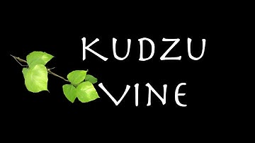 Truck Patch Revival - Kudzu Vine (Official Lyric Video)