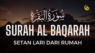 MUROTAL SURAH ALBAQARA  Setan kabur Dari Rumah  Penenang Hati dan Pikiran by AHMAD AL SHALABI