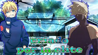 ¿QHPS Naruto era criado por Kakashi? / 1