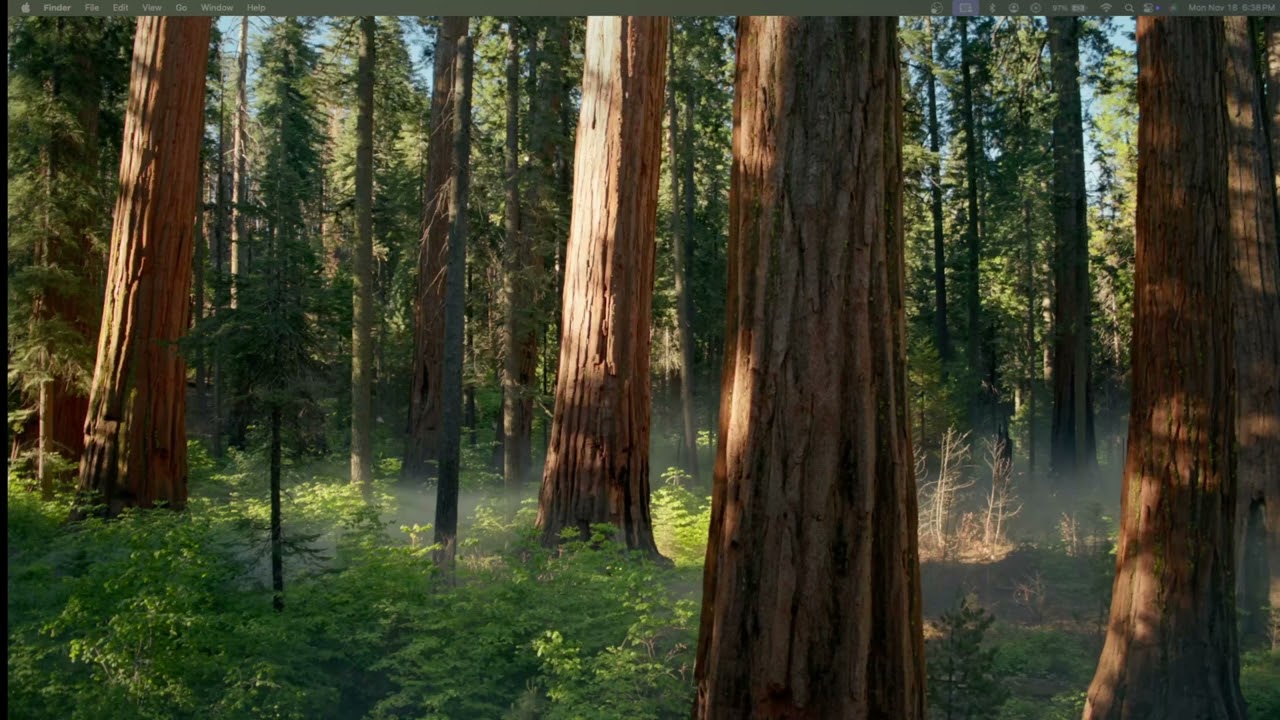 macOS Password Manager