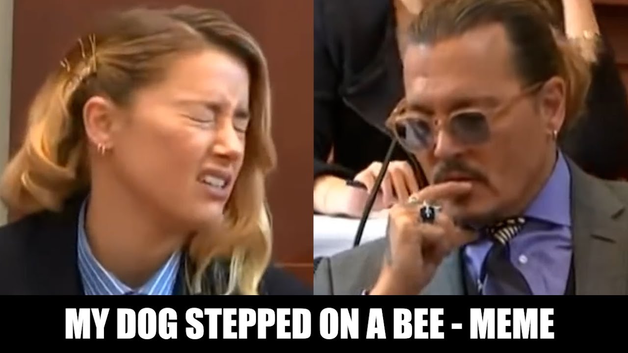 My Dog Stepped On a Bee  Johnny Depp & Amber Heard MEME 