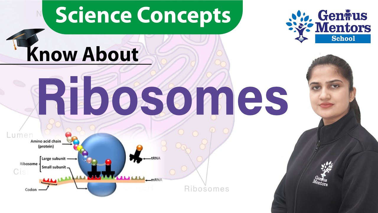 What are Ribosomes | Cell | Biology | Science Concept | Genius Mentors School 