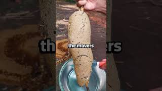 At the family dinner, mom smiled and announced, \