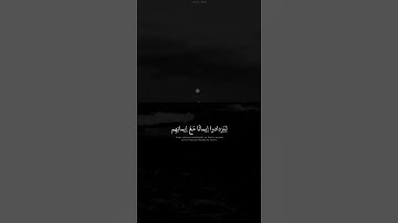 هُوَ الَّذِي أَنزَلَ السَّكِينَةَ فِي قُلُوبِ الْمُؤْمِنِينَ #سورة_الفتح
