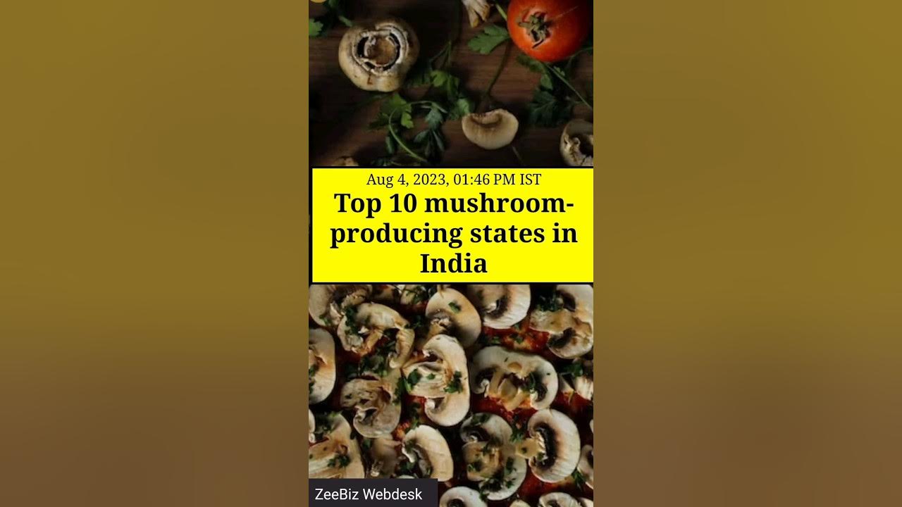 top-10-mushroom-production-state-in-india-mushroom-fact-short-youtube