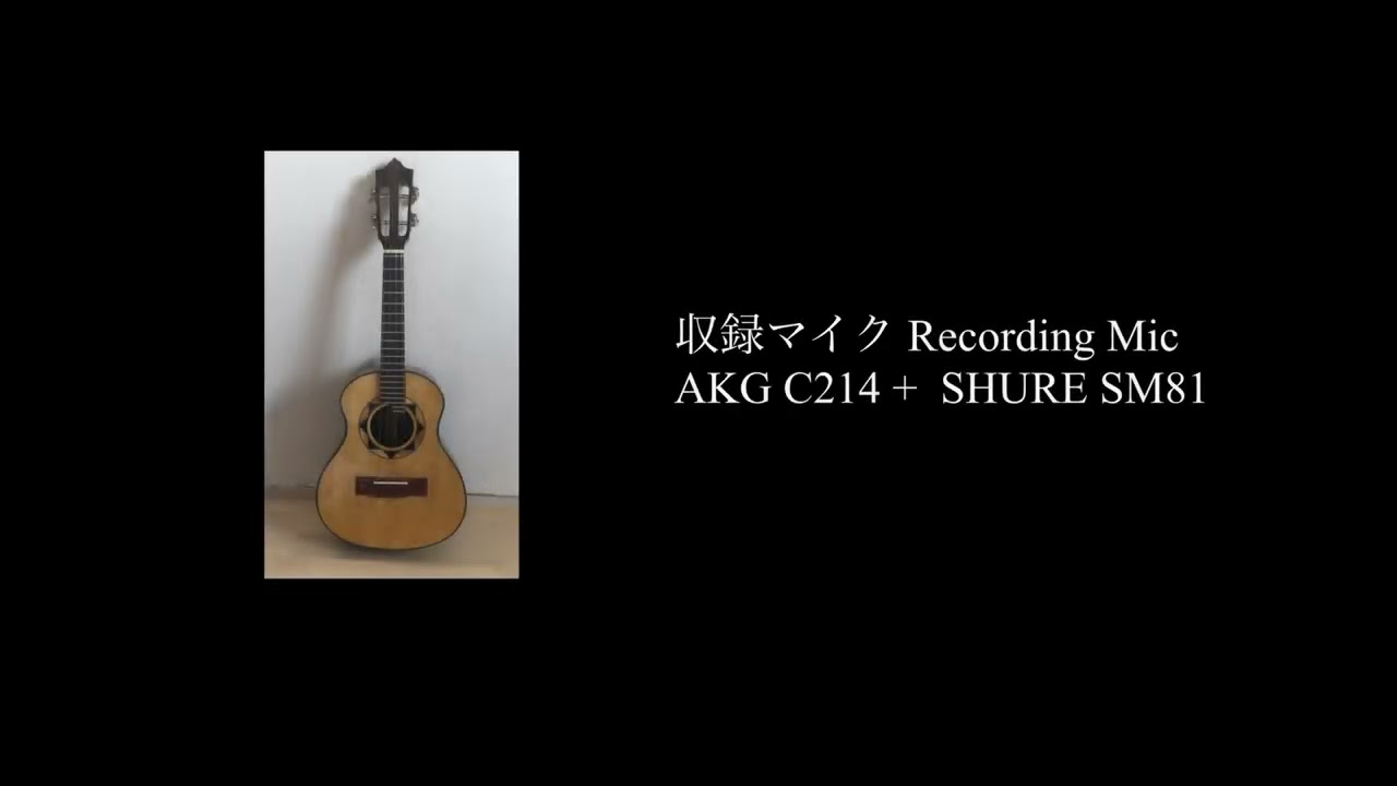 カヴァキーニョ Cavaquinho ルイス・ルシエ 2023Finge