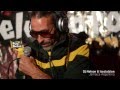 Dj Nelson &amp; Isocialzion - Reggae en PelaGatos - Jamaica Argentina