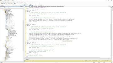 C# winform Product and Sub Category MSSql Stored Procedure Grocery Shop POS Part 32