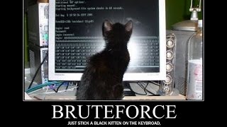 SnD Ziggy's Keygenme #0 Walkthrough Wealth