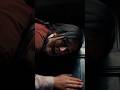 BARAMULLA 2025😱: An Indian Horror Movie Review Based on a Real Kashmir Incident #shorts #shortsfeed