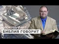 Тема 6. Приносят ли жертвы в синагогах?