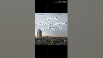 سورة الانفال الآية 46