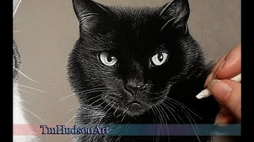 How to draw a realistic black cat in charcoal - tutorial