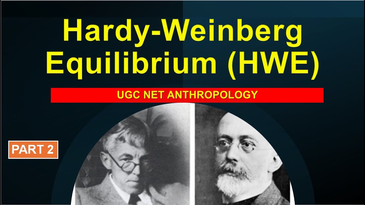 Hardy-Weinberg Equilibrium | Population Genetics /HWE PART 2 - YouTube