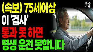 (속보) 75세 이상 &#39;이 검사&#39; 통과 못하면 면허 즉시 취소!｜운전면허 갱신 꿀팁｜고령자 운전｜노후복지