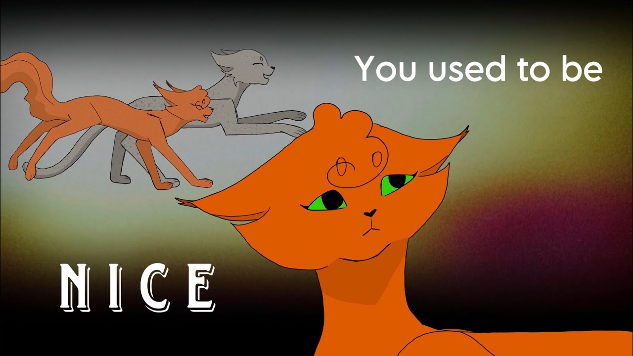 You used to be nice || Squirrelflight and Ashfur || PMV
