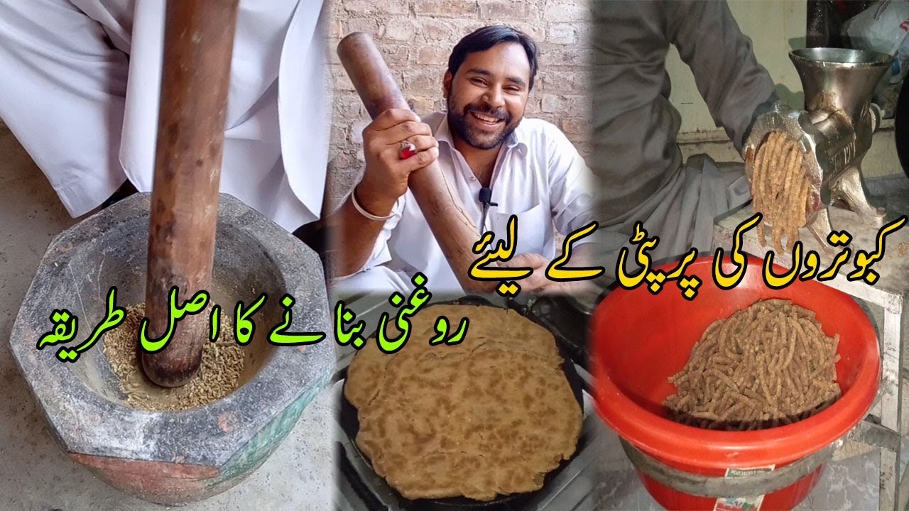 KABOOTARO KI PARPATI KA LIYE ROGHNI BANANY KA ASAL TAREEQA | BADSHAHI SHOQ