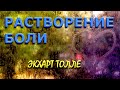 РАСТВОРЕНИЕ БОЛИ [Экхарт Толле, NikOsho]