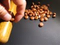 The only way to Remove Wood Screw Cover on a Danish Modern Chair The only way to Remove Wood Screw Cover on a Danish Modern Chair