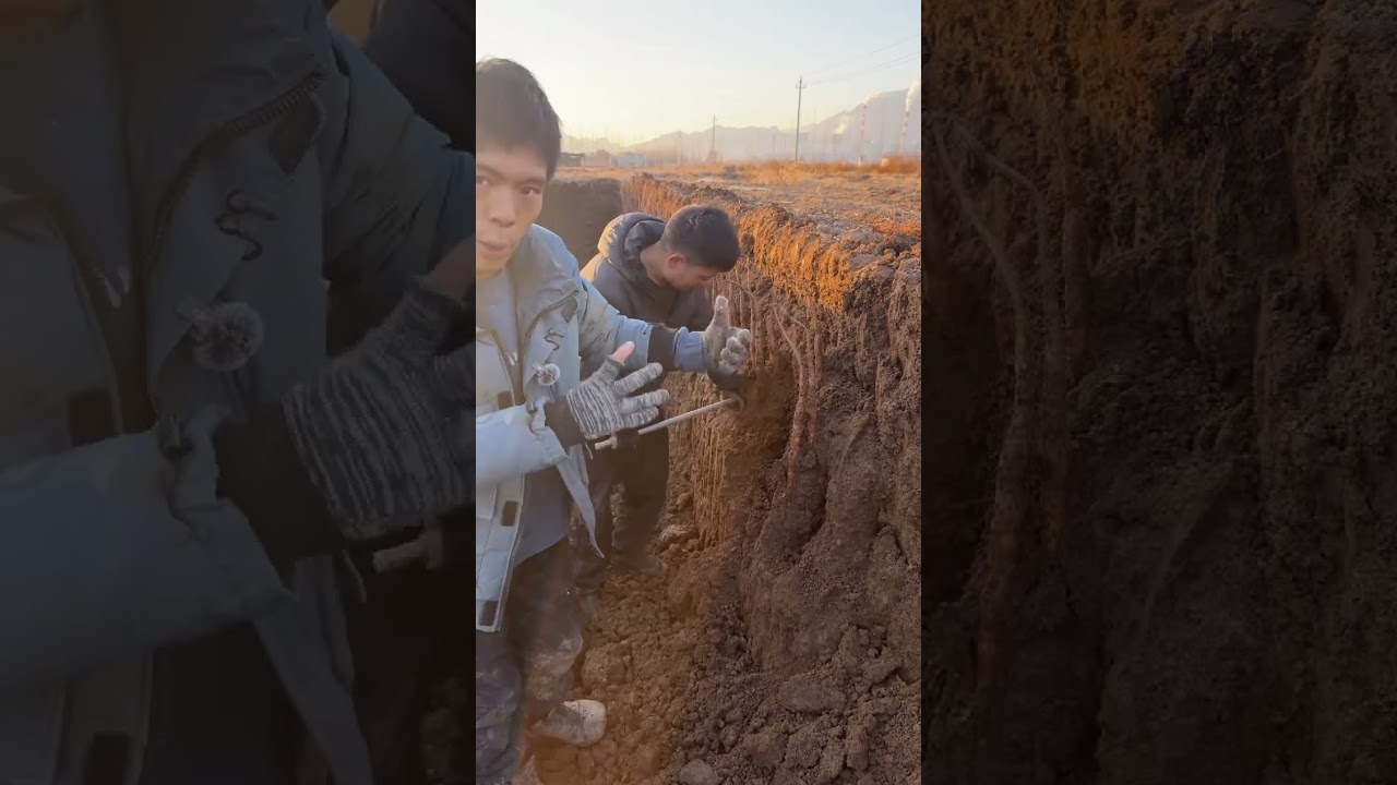 I miss you so much, auntie, I miss them all