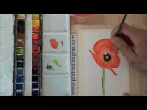 Corso Di Pittura Ad Acquerello Gratis On Line Papavero Con Pietro Disegna Www Corsodipittura Com Youtube