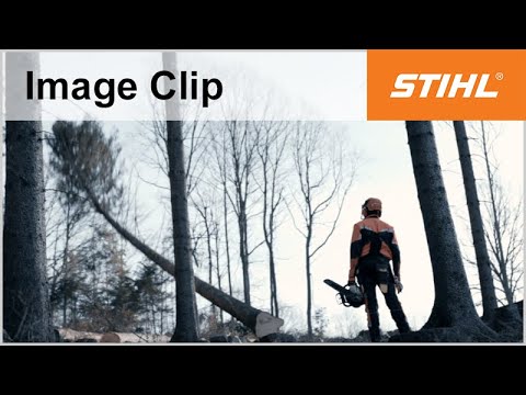 Stihl Ms251 Wood Boss Chainsaw Product Overview Youtube